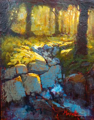 Michel Monett - Rivière sauvage