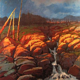 Michel Monett - Rouge et sauvage #6
