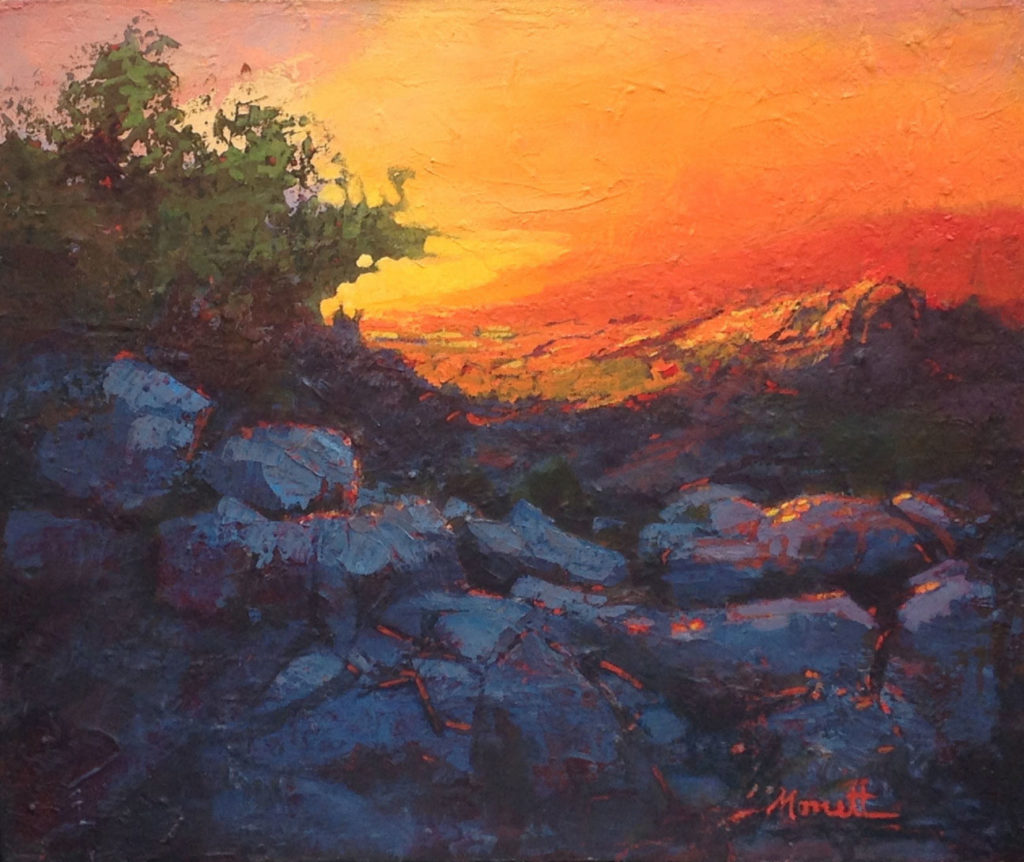 Michel Monett - Terre de feu