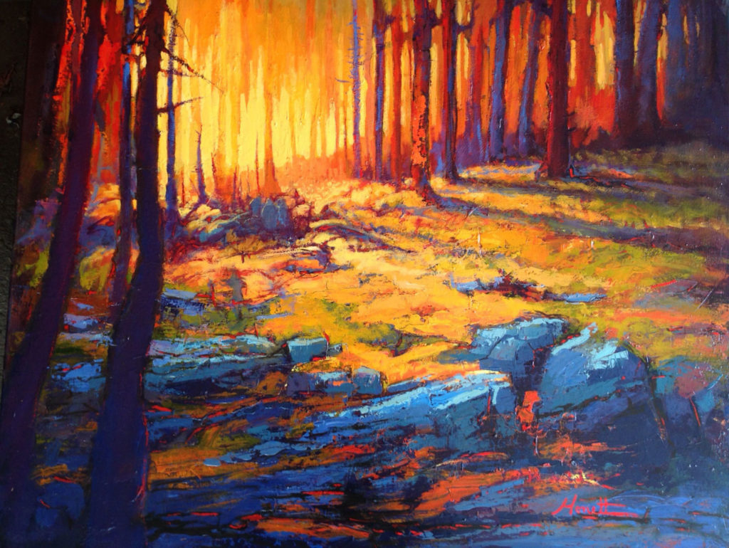 Michel Monett - Terre de feu #6
