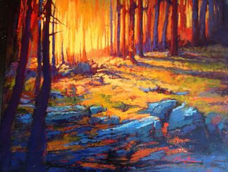 Michel Monett - Terre de feu #6