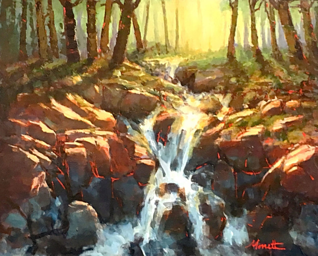 Michel Monett - Terre en lumière