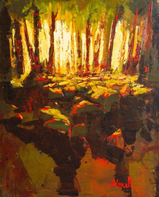 Michel Monett - Terre en lumière #32