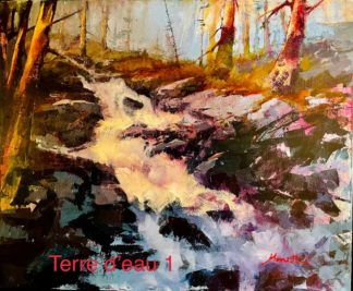 Michel Monett peintre-Terre d'eau #1